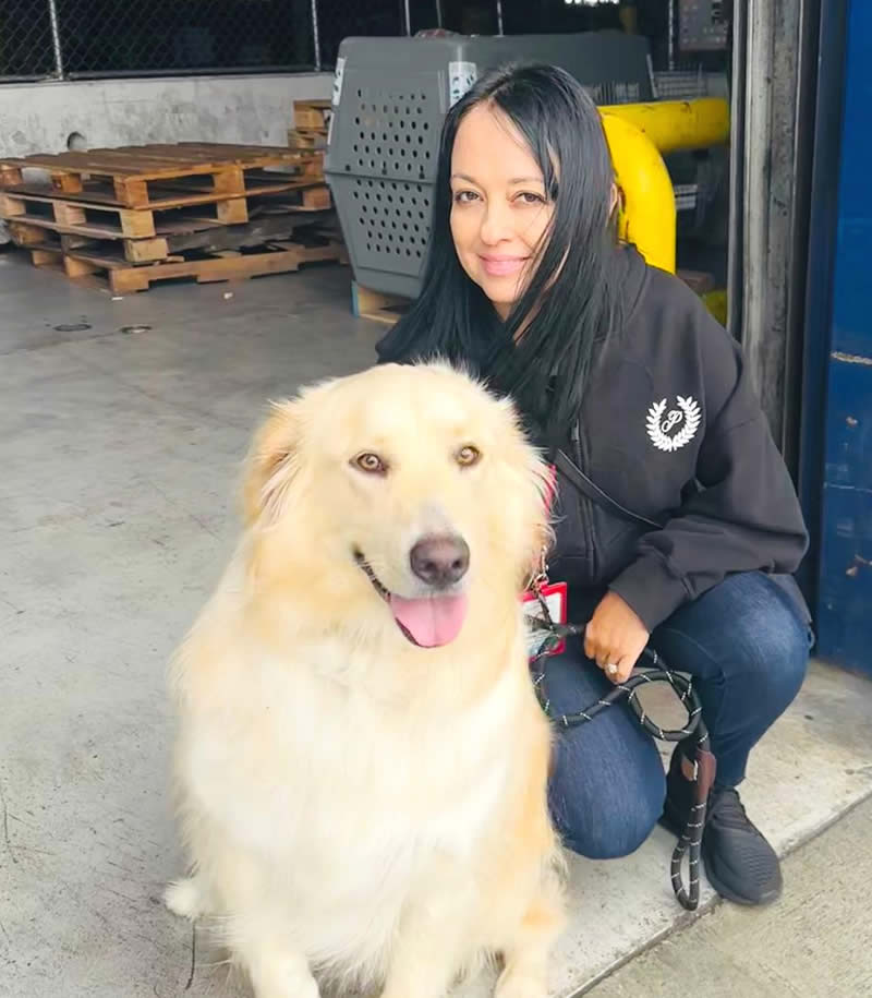 Pets traveling through LAX cargo terminal