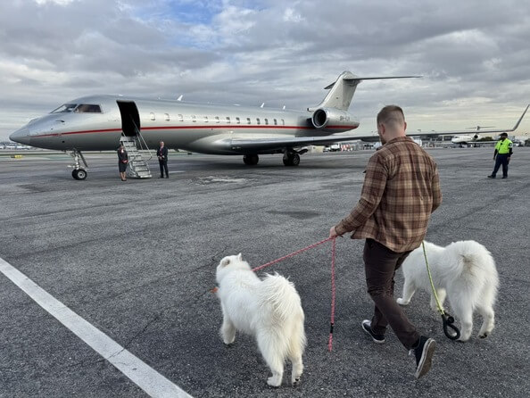 Comprehensive Pet Travel & Transportation Consultation Services