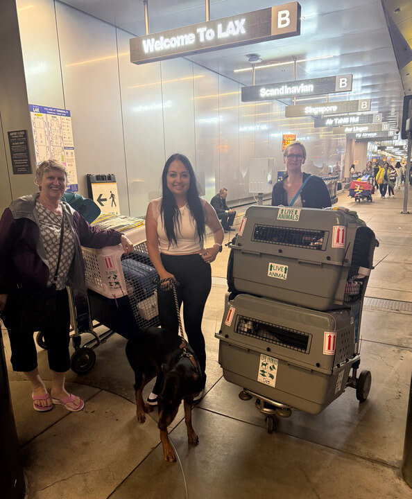 Ready to Start Your Pet's Travel Journey?